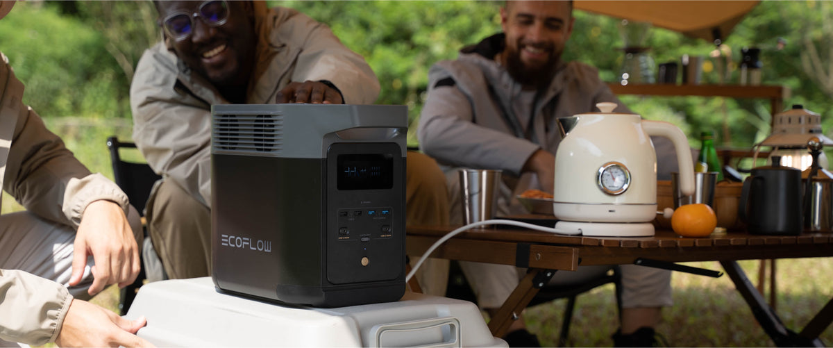 ECOFLOW DELTA 2