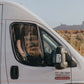 Ram ProMaster Front Door Bug Screens | VanEssential